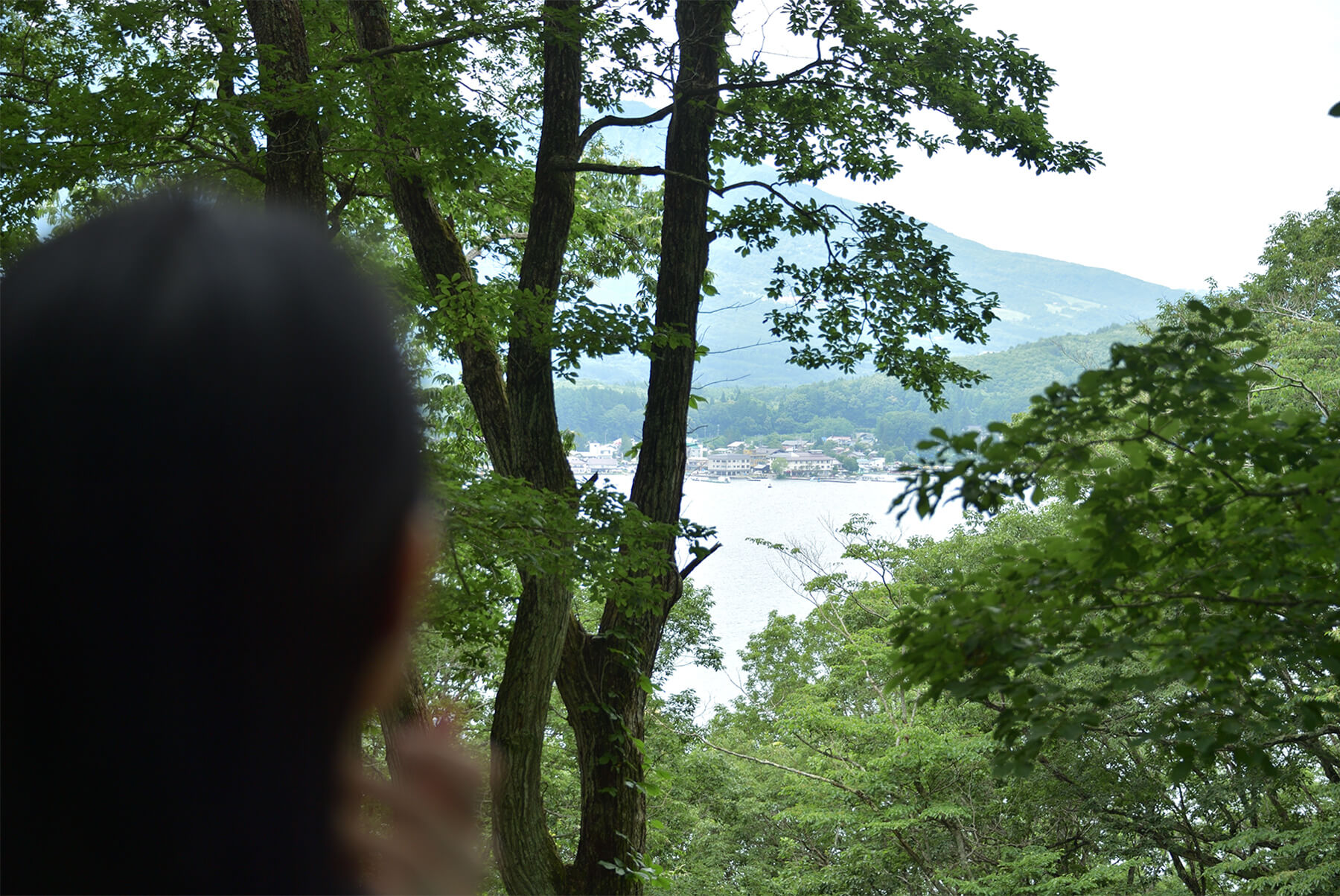 野尻湖を見下ろす象の小径コース