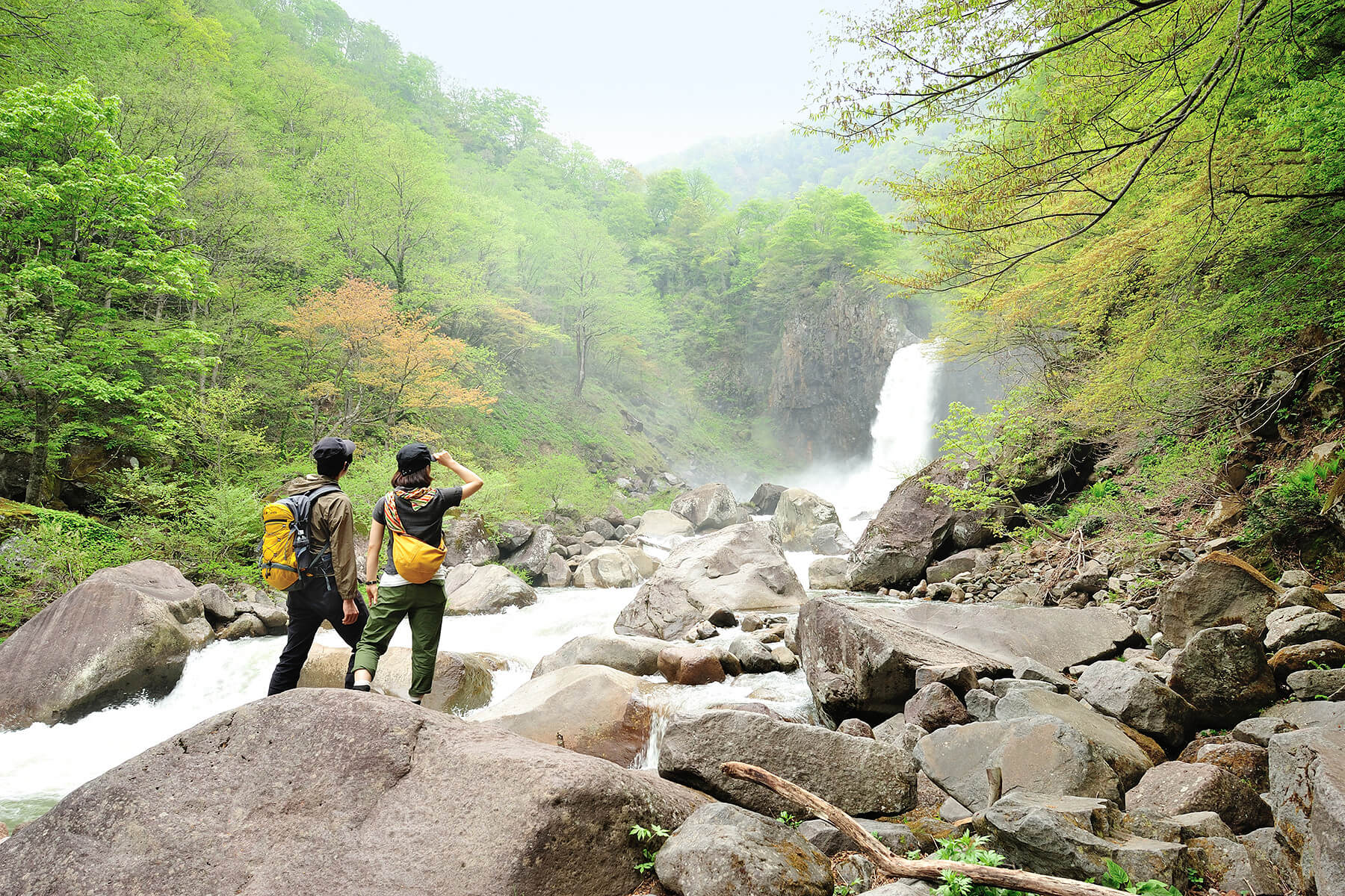 〈苗名滝〉片道15分のお気軽「山散歩」